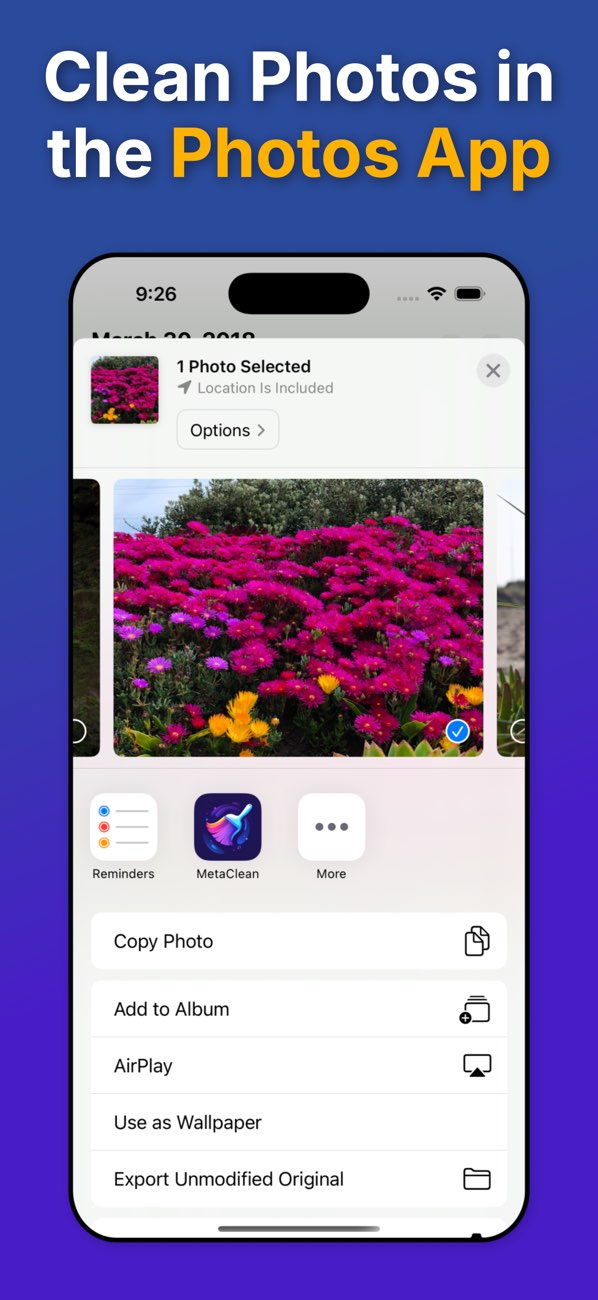 Metadata Remover workflow preview